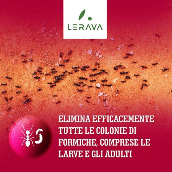 LERAVA® 10g Ready-to-Use Ant Traps for Home & Outdoor – Fast-Acting Ant Bait with Visible 7-Day Results for Effective Anthill Control