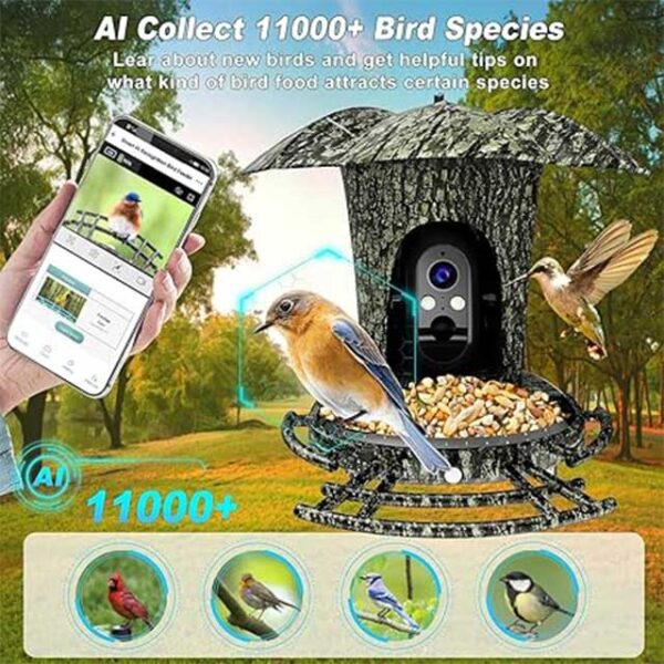 Smart Bird Feeder 4G Version with 1080P HD Camera