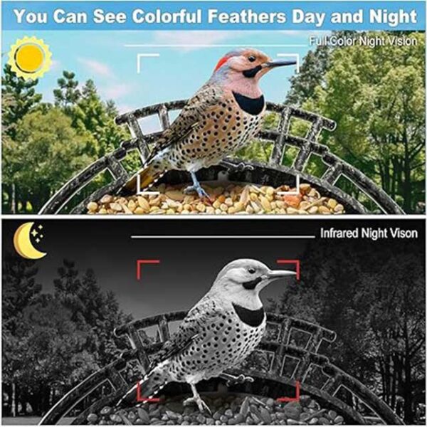 Smart Bird Feeder 4G Version with 1080P HD Camera