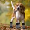 Double-Sided Anti-Slip Dog Socks – 4PCS Adjustable Paw Protectors with Traction Control & Licking Prevention for Indoor Use