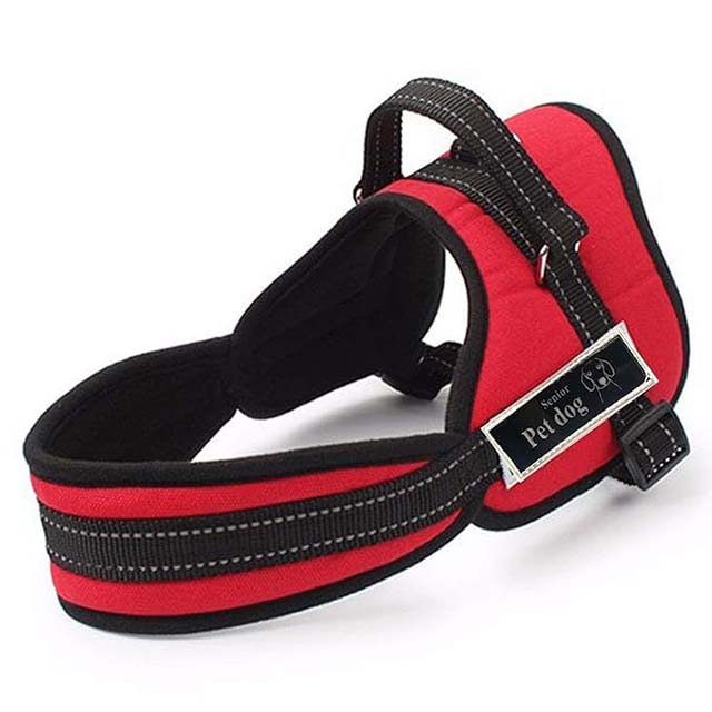 Non-Pull Dog Body Harness – Soft Padded Heavy Duty Vest with Adjustable Straps & Sturdy Handle for Secure Walks