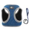 Reflective Cat Vest & Leash Set – Breathable, Secure Pet Harness with Traction Strap for CatsThis title combines your primary keywords while clearly describing the product's benefits, making it both SEO friendly and informative.