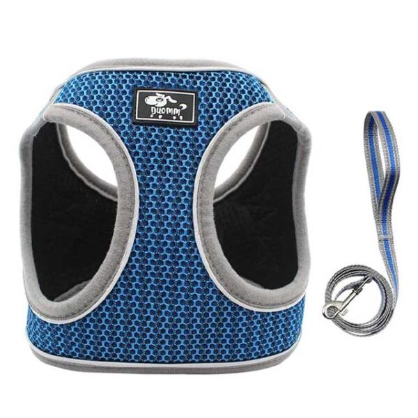 Reflective Cat Vest & Leash Set – Breathable, Secure Pet Harness with Traction Strap for CatsThis title combines your primary keywords while clearly describing the product's benefits, making it both SEO friendly and informative.