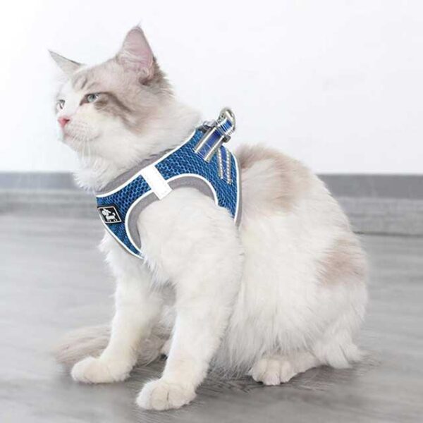 Reflective Cat Vest & Leash Set – Breathable, Secure Pet Harness with Traction Strap for CatsThis title combines your primary keywords while clearly describing the product's benefits, making it both SEO friendly and informative.
