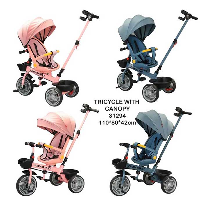 Tricycle with canopy1108042