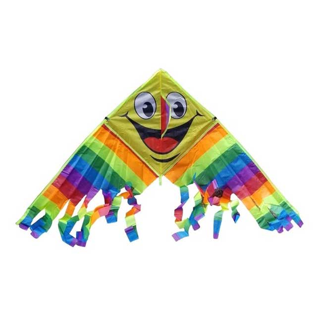 Kite